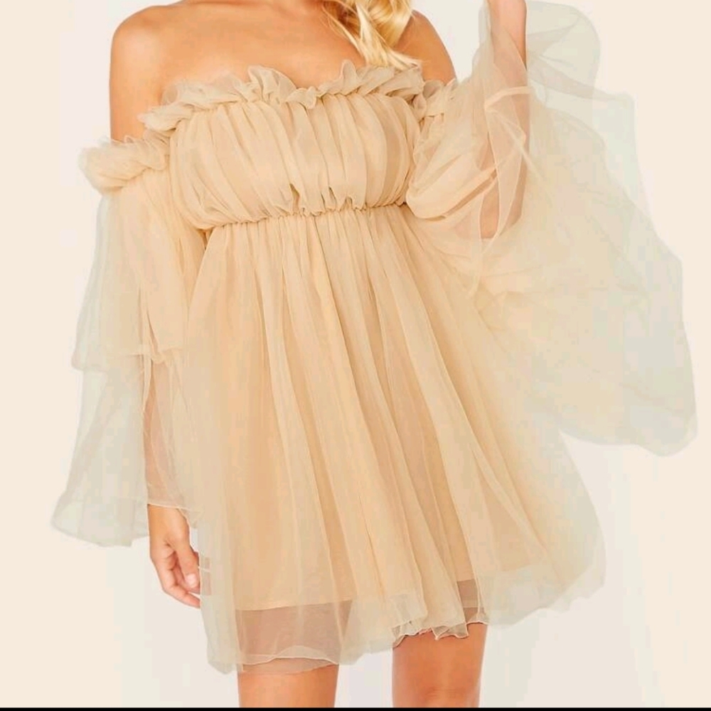 Beige Tulle Dress off the shoulder